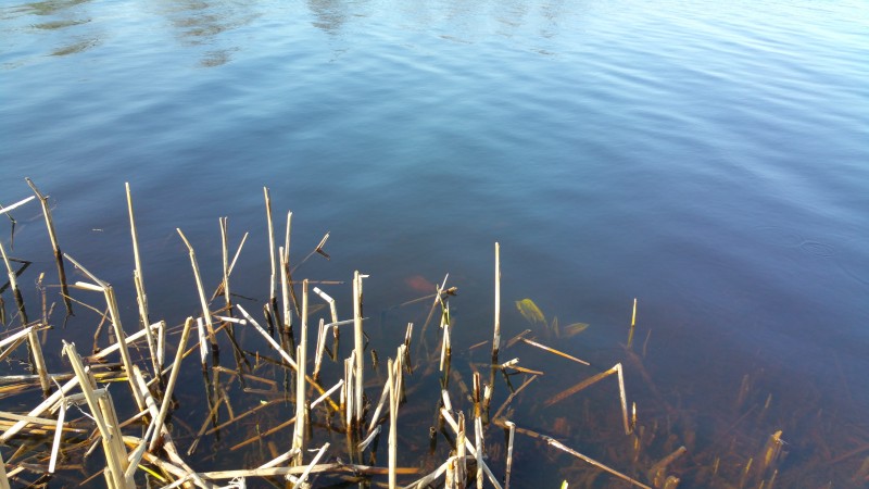 20190428_101737.jpg
