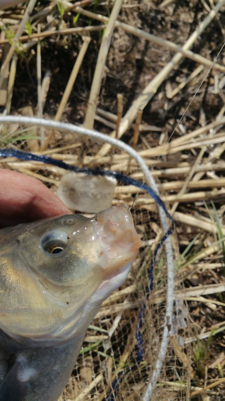 20190428_132727.jpg