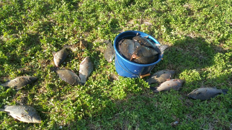 20190428_183736.jpg