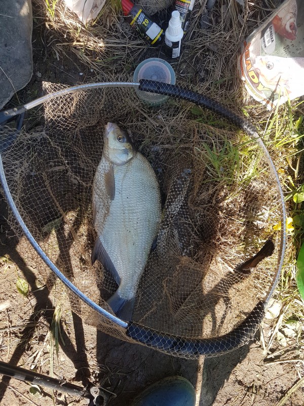 20190518_083348.jpg