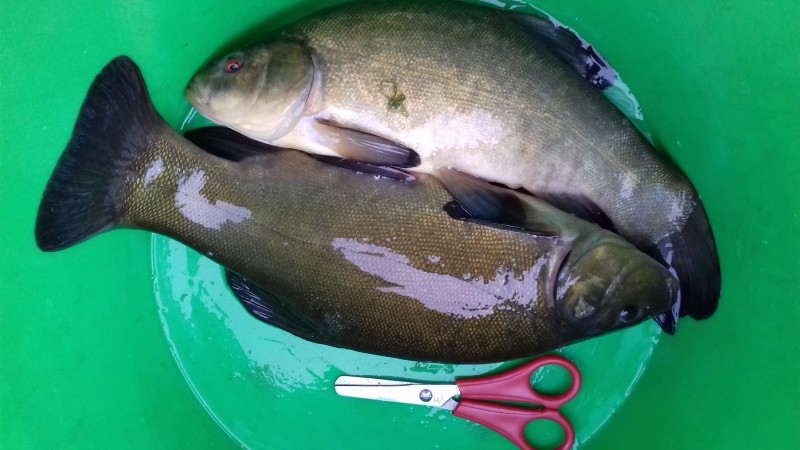 20190526_052237.jpg