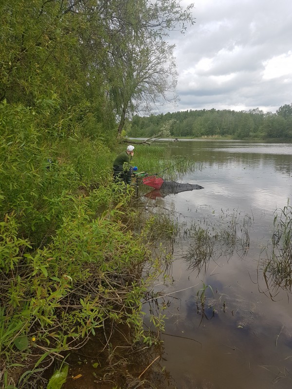 20190526_112751.jpg