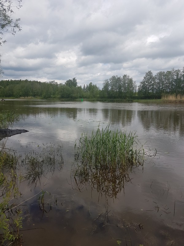 20190526_112755.jpg