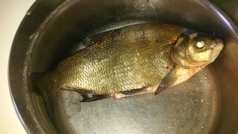20190606_111514.jpg