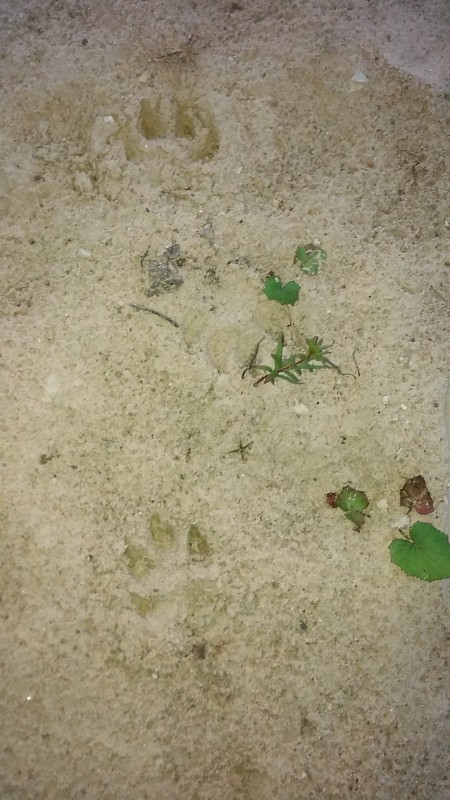 20190610_034324.jpg