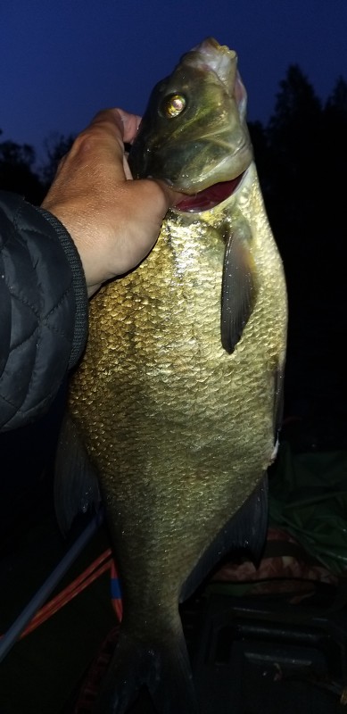 20190616_030339.jpg