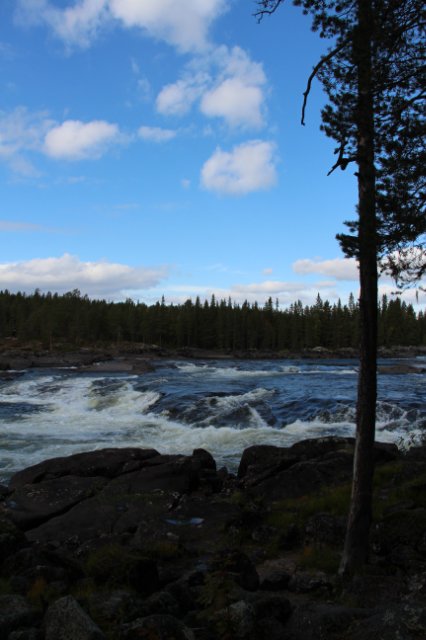 31b1c12dfd6c.jpg