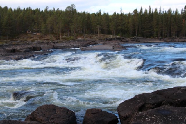 6f031d1138c7.jpg
