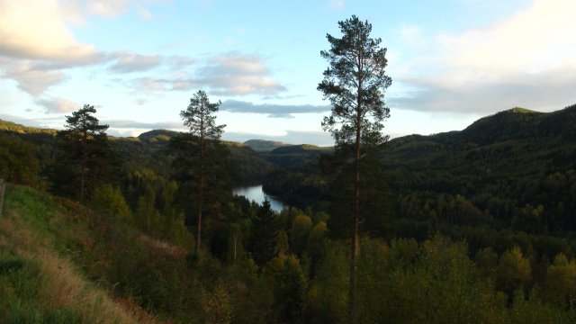 363b065df3a5.jpg