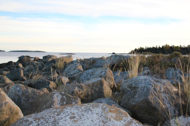 5f57295aac5b.jpg