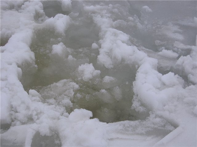 d7c0744d572f.jpg