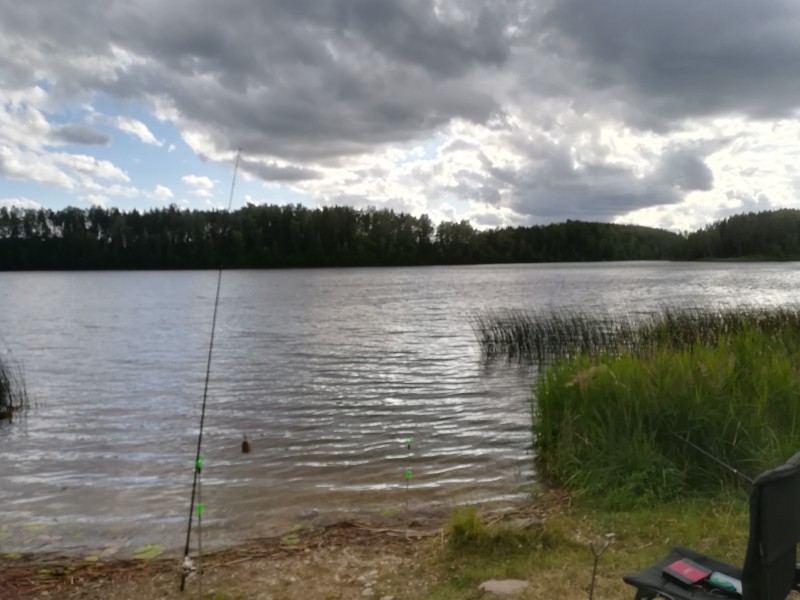 IMG_20190701_180429.jpg
