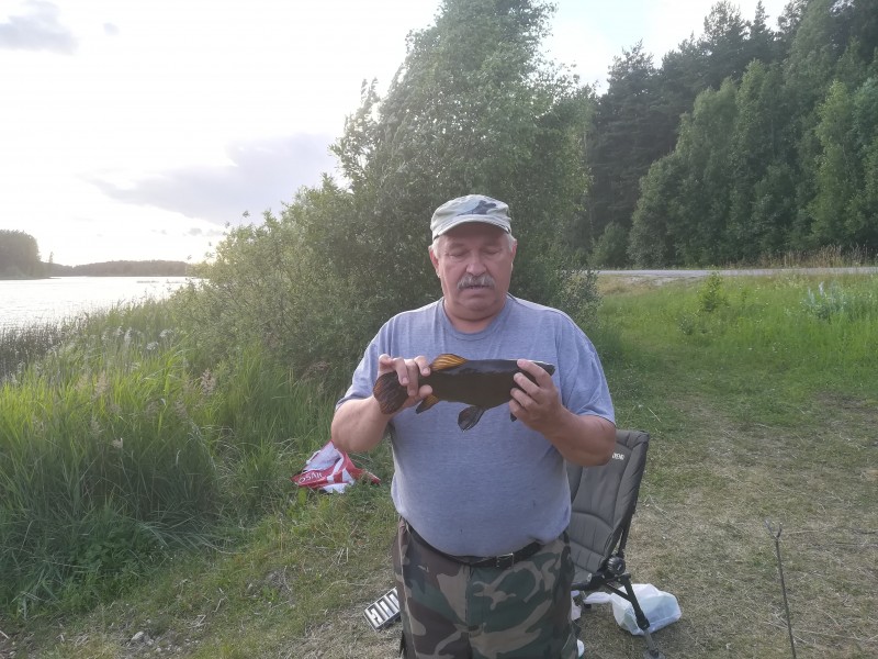 IMG_20190701_205001.jpg