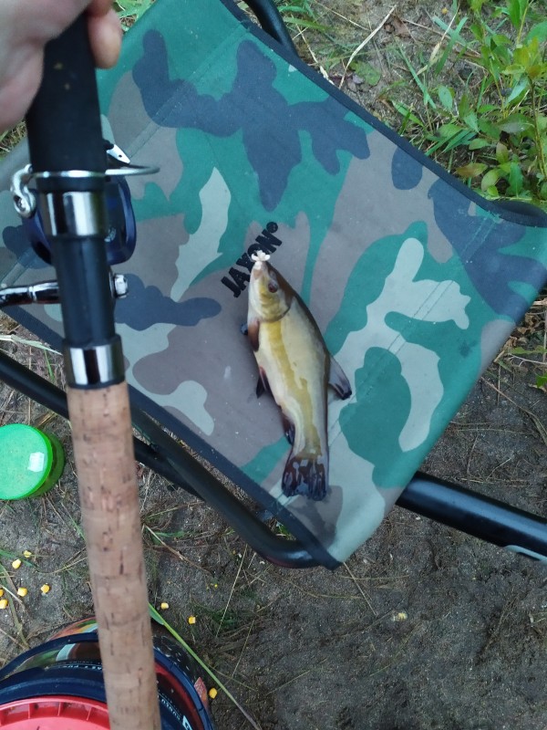 IMG_20190710_040944.jpg