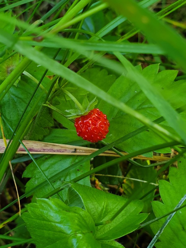 20190710_184610.jpg