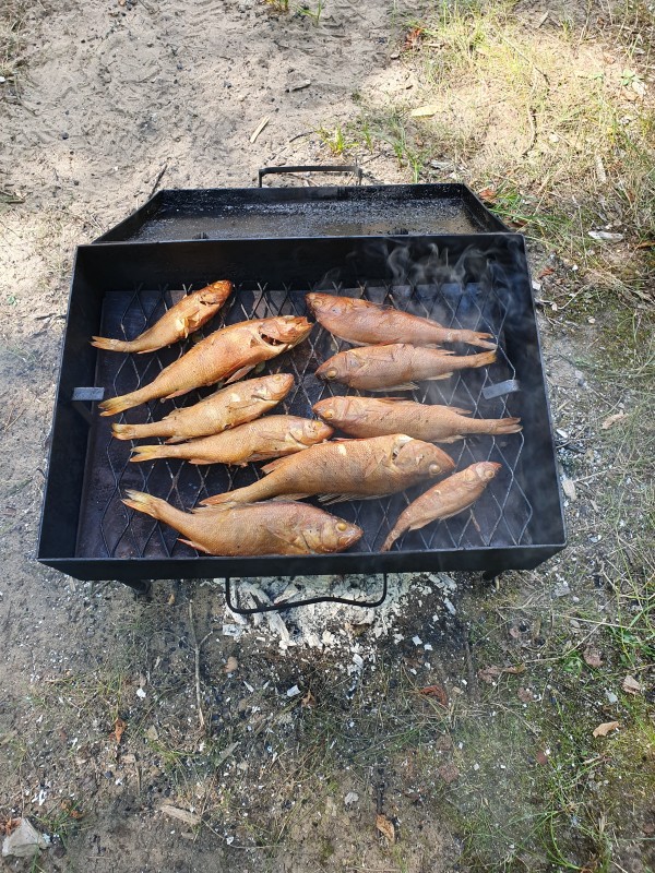 20190820_124548.jpg