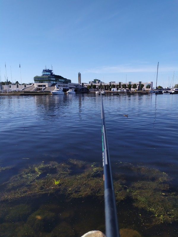 IMG_20190825_100301.jpg