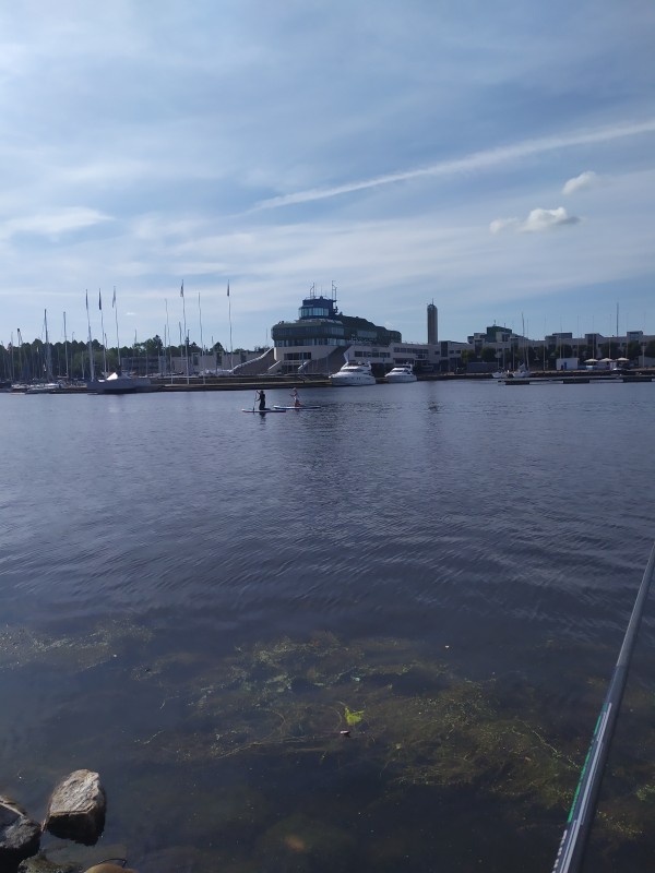 IMG_20190825_113356.jpg