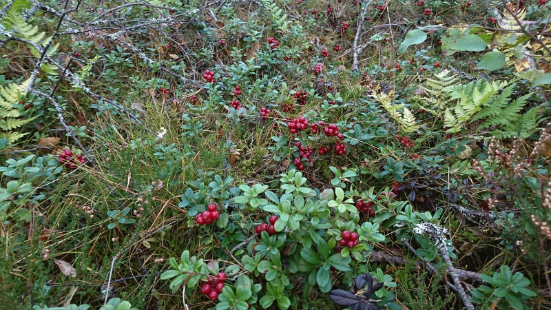 DSC_3454.JPG
