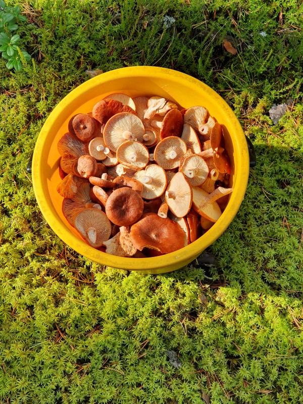 20190922_155024.jpg