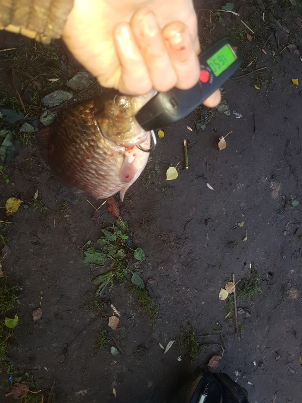 20190928_073227.jpg