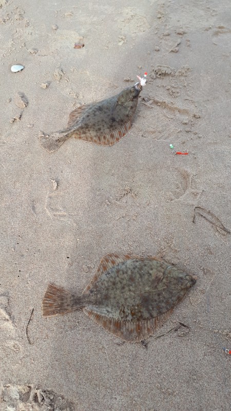 20191005_124449.jpg
