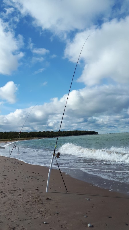 20191005_134402.jpg
