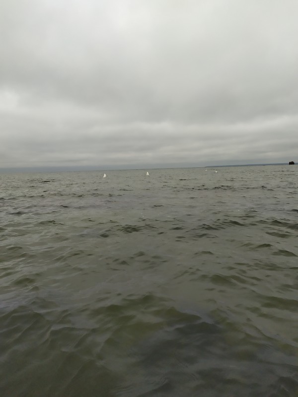 IMG_20191116_102706.jpg