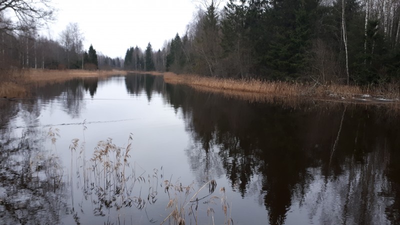20191214_112946.jpg