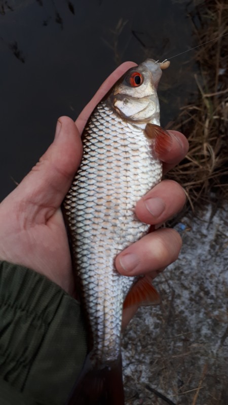 20191214_103640.jpg