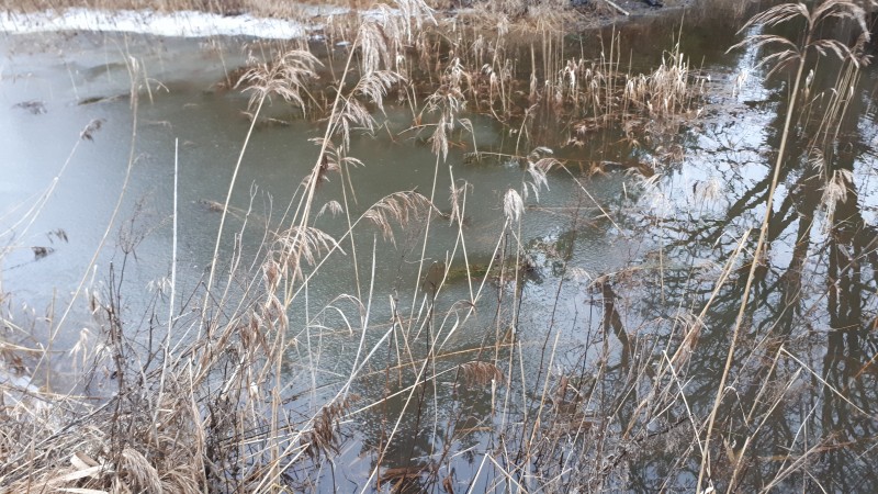 20191214_112953.jpg