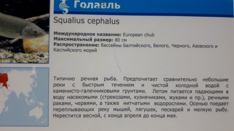 20191224_170358.jpg