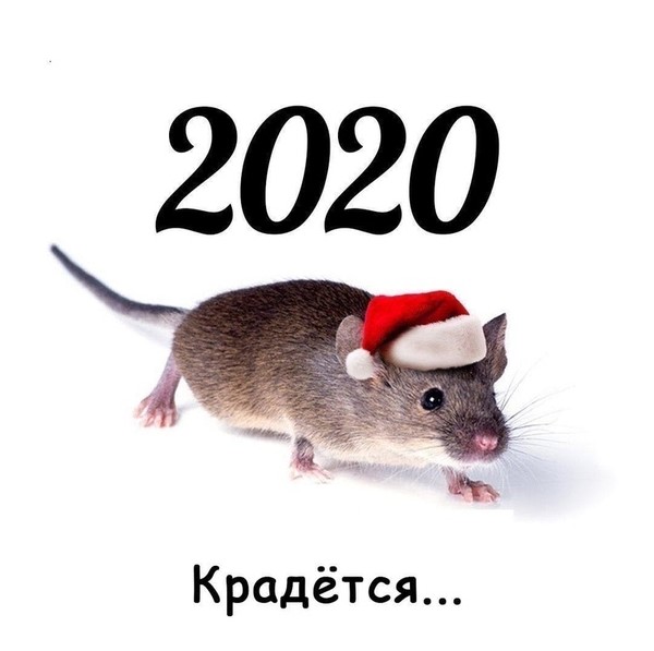 Screenshot_2.jpg