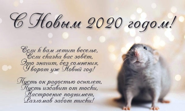 novogodnie-otkrytki-2020-god-krysy-d490e29.jpg