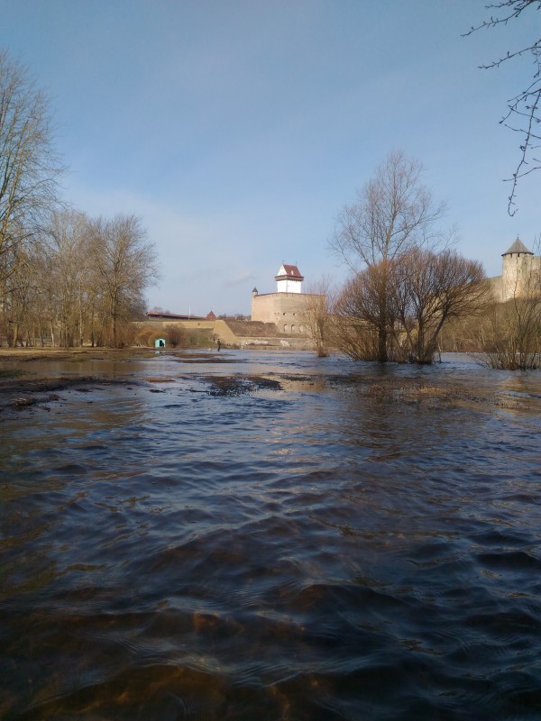 P_20200310_110218.jpg