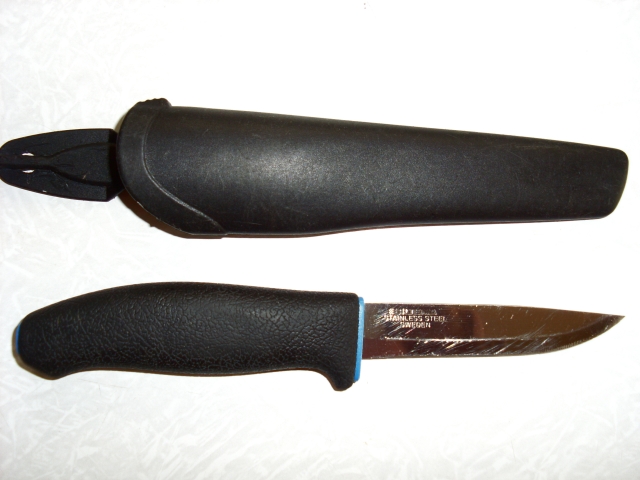 SL382280.JPG