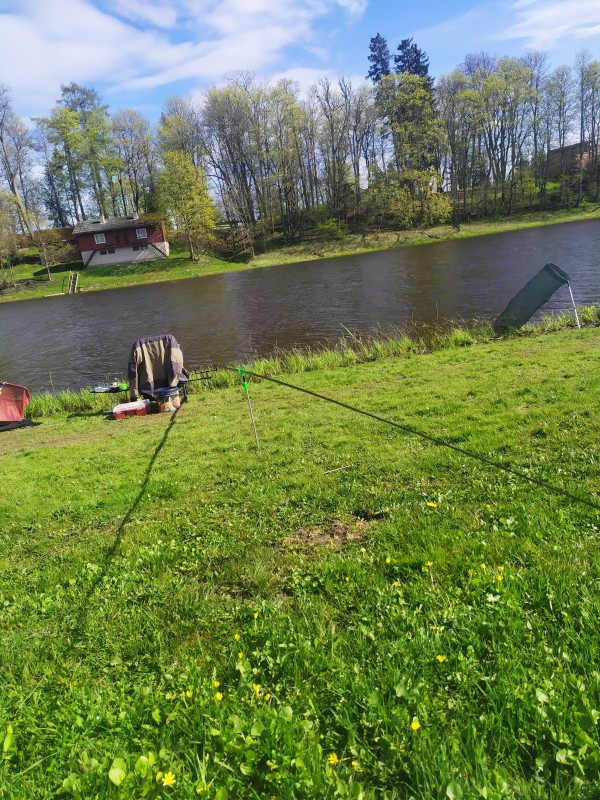 IMG_20200508_162026.jpg