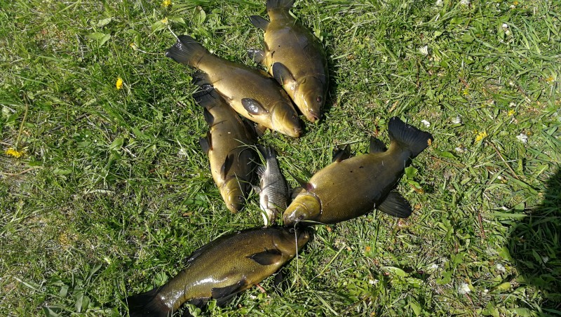 IMG_20200530_112156.jpg