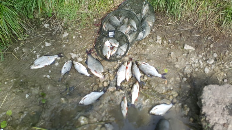 20200905_115535.jpg
