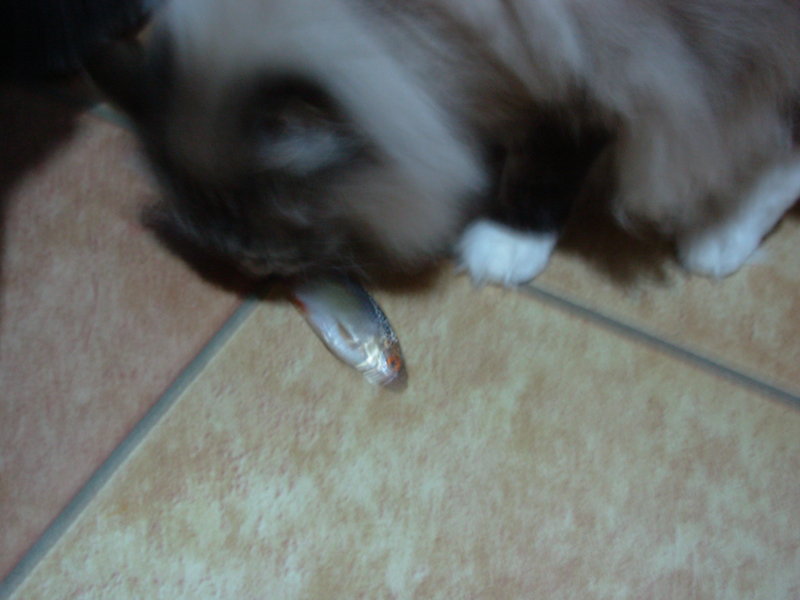 DSCN4230.JPG
