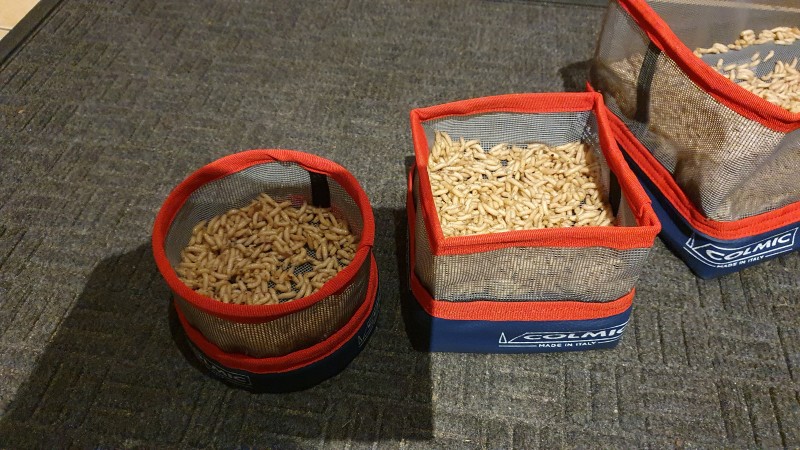 20201010_165025.jpg