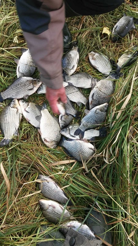 Ягала 15.10.20.jpg
