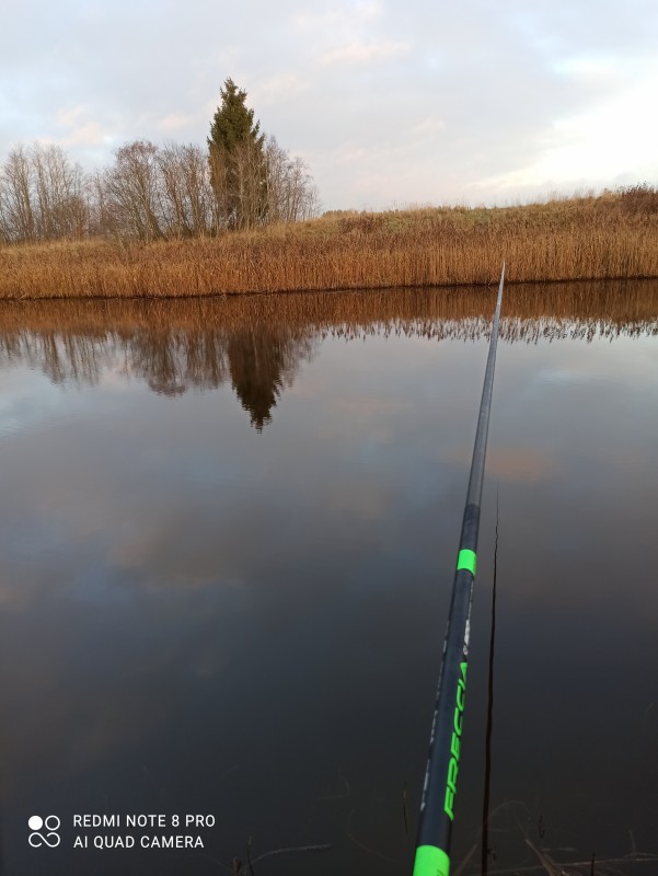 IMG_20201115_085839.jpg