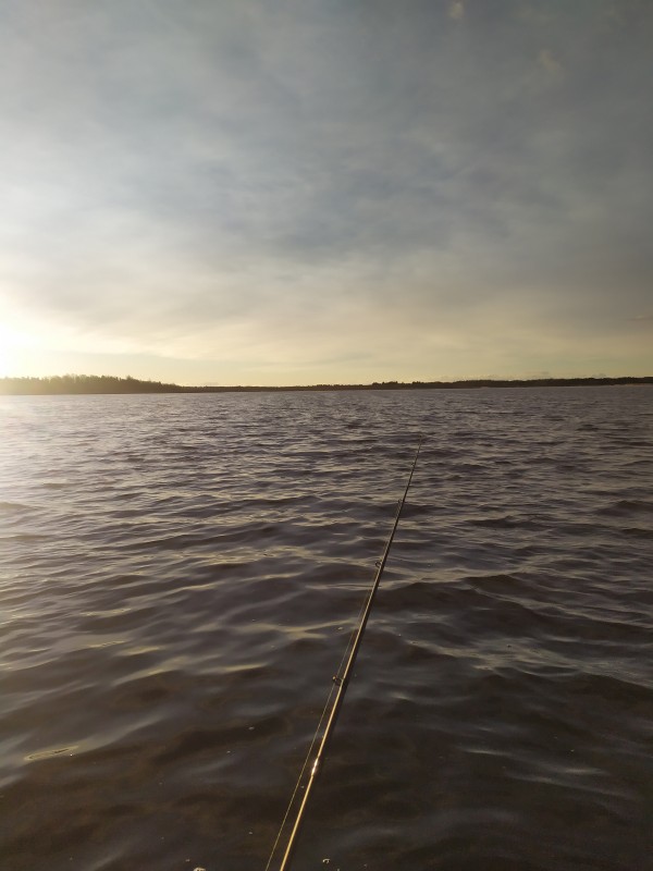 IMG_20201121_093326.jpg