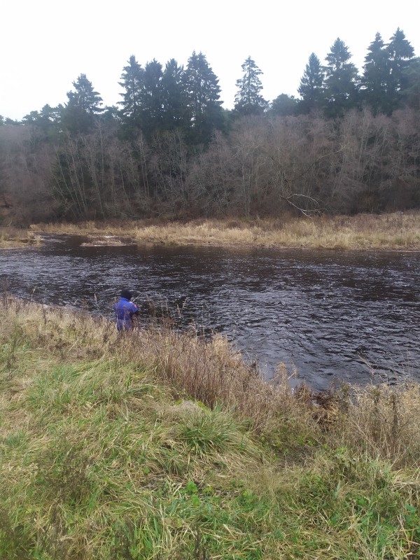 IMG_20201206_122410.jpg