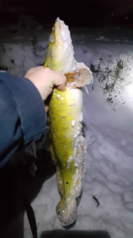 20201227_210738.jpg