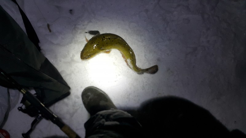 20201227_210655.jpg