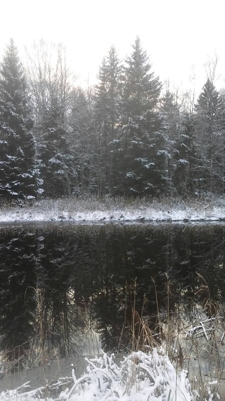 5.01.21 Красота.jpg