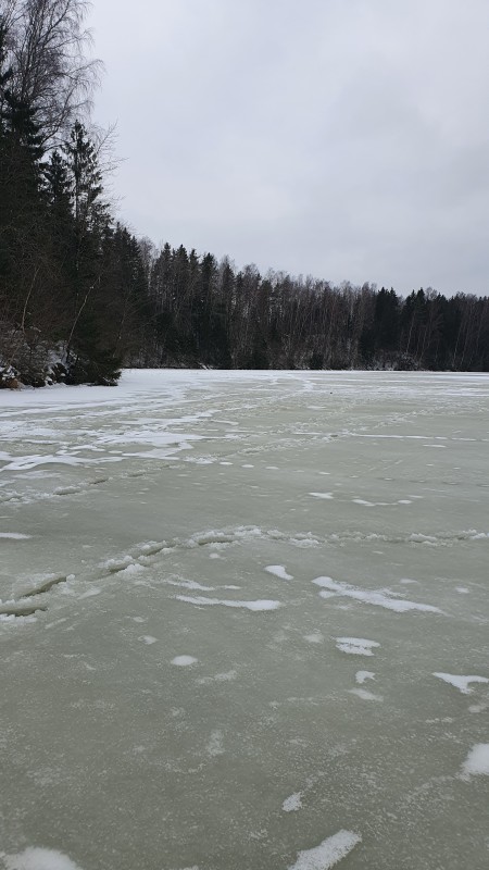 20210123_145817.jpg