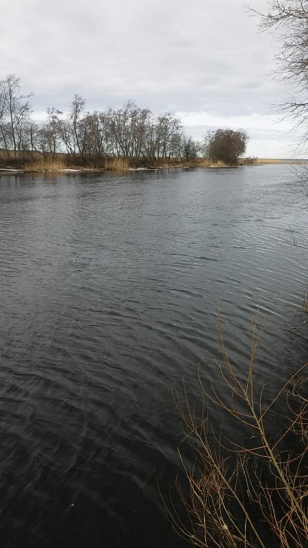 Ягала 23.03.21.jpg